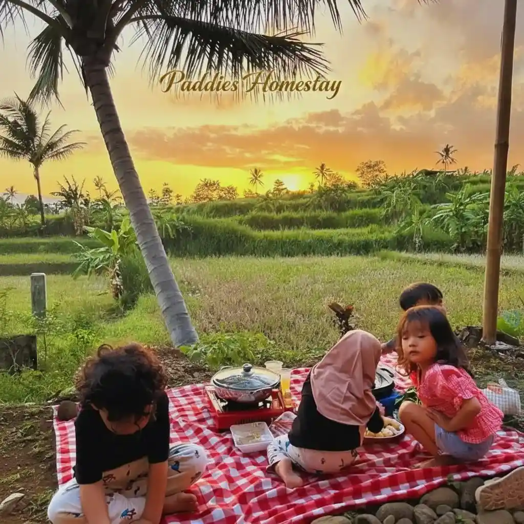 beautifull view at paddies homestay